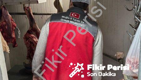 Menteşe’de Gıda Güvenliği Seferberliği: Kasaplar Sıkı Denetimde