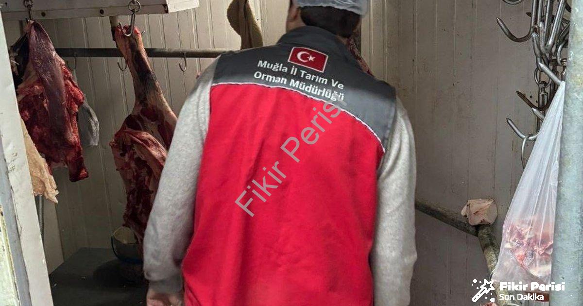 "Menteşe'de Gıda Güvenliği Seferberliği: Kasaplar Sıkı Denetimde" başlıklı haber için fotorealistik,