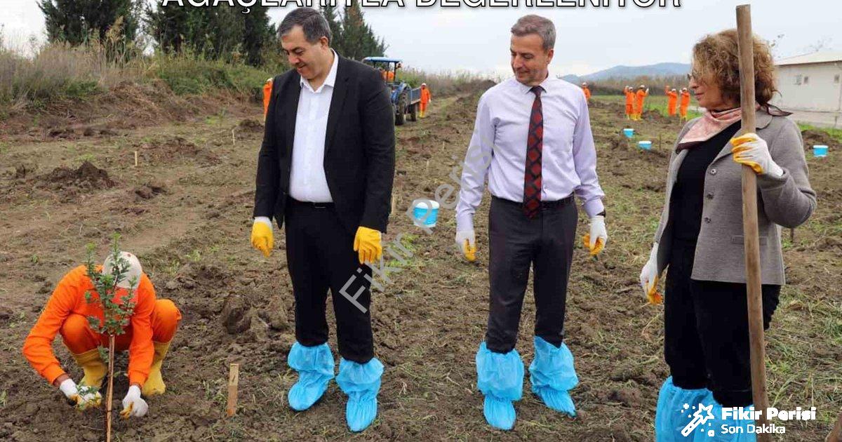 "Dalaman Açık Cezaevi Toprakları Sakız Ağaçlarıyla Değerleniyor" başlıklı haber için fotorealistik,