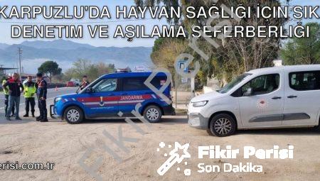 Karpuzlu’da Hayvan Sağlığı İçin Sıkı Denetim ve Aşılama Seferberliği