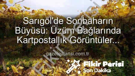 Manisa Sarıgöl’de Sonbahar Büyüsü: Üzüm Bağlarında Budama Zamanı ve Muhteşem Manzaralar