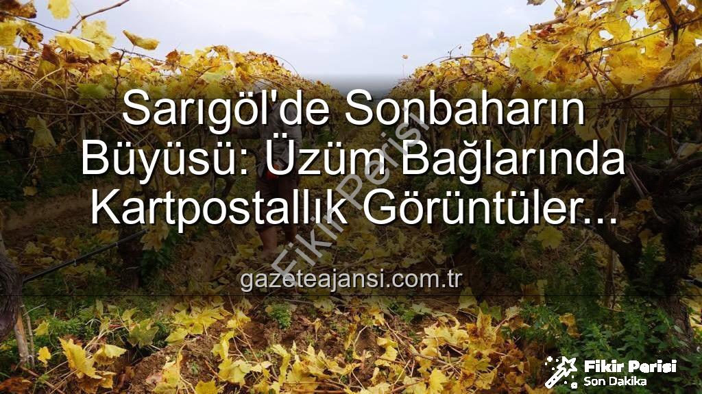 Sarıgöl üzüm bağları - Manisa Sarıgöl'de Sonbahar Büyüsü: Üzüm Bağlarında Budama Zamanı ve Muhteşem Manzaralar