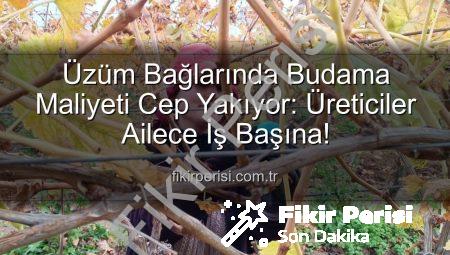 Üzüm Bağlarında Budama Maliyeti Cep Yakıyor: Üreticiler Ailece İş Başına!