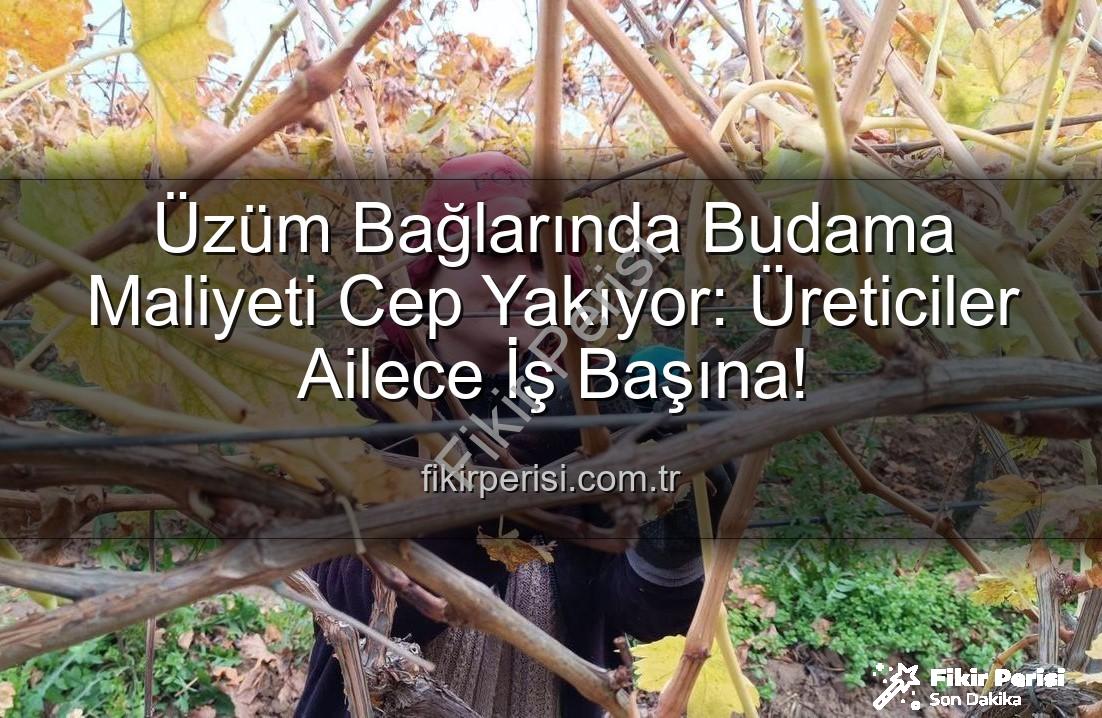 budama maliyeti - Üzüm Bağlarında Budama Maliyeti Cep Yakıyor: Üreticiler Ailece İş Başına!