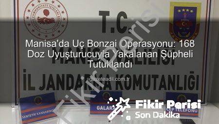 Manisa’da Uç Bonzai Operasyonu: 168 Doz Ele Geçirildi, Şüpheli Tutuklandı