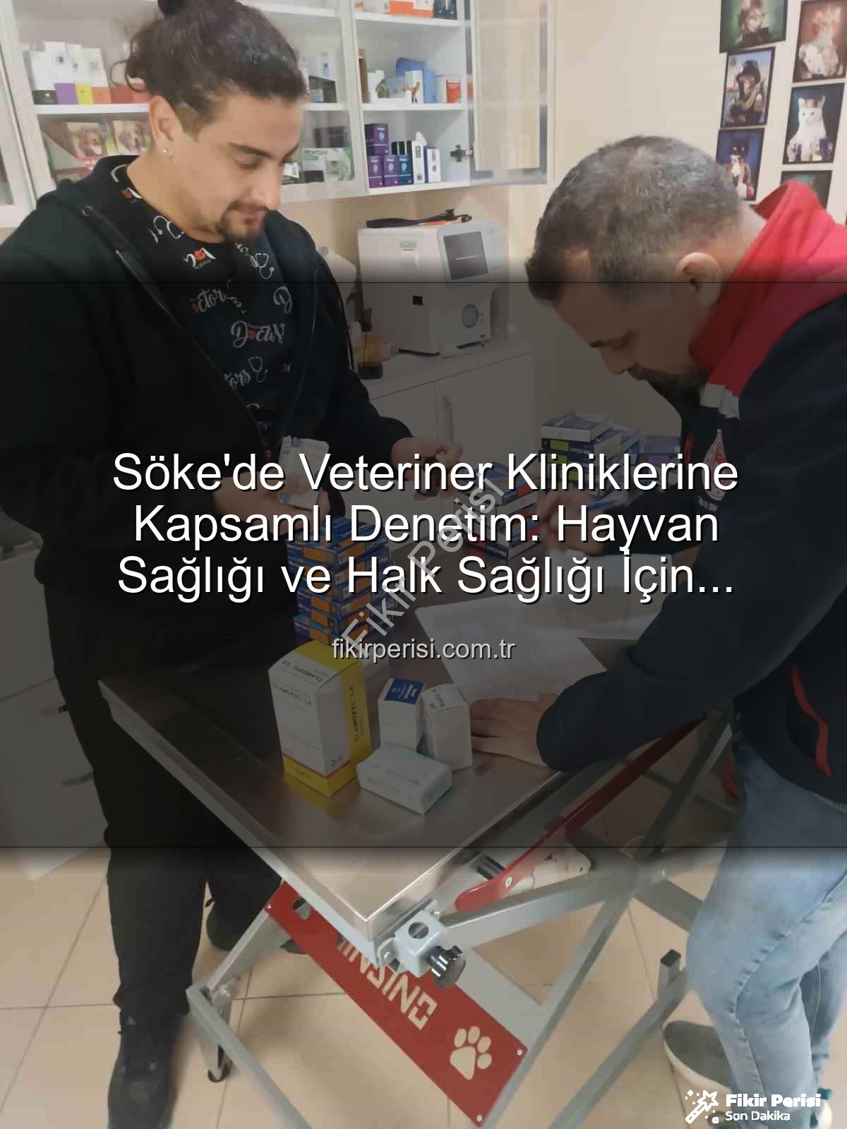 veteriner klinik denetimi - Söke'de Veteriner Kliniklerine Kapsamlı Denetim: Hayvan Sağlığı ve Halk Sağlığı İçin Önemli Adımlar