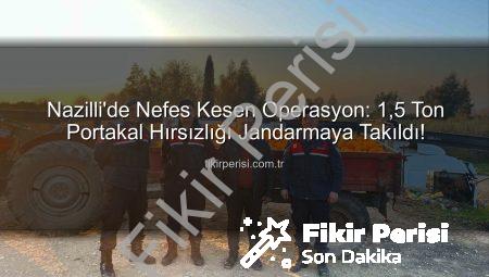 Nazilli’de Nefes Kesen Operasyon: 1,5 Ton Portakal Hırsızlığı Jandarmaya Takıldı!