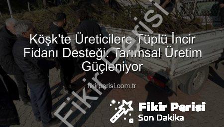 Köşk’te Üreticilere Tüplü İncir Fidanı Desteği: Tarımsal Üretim Güçleniyor