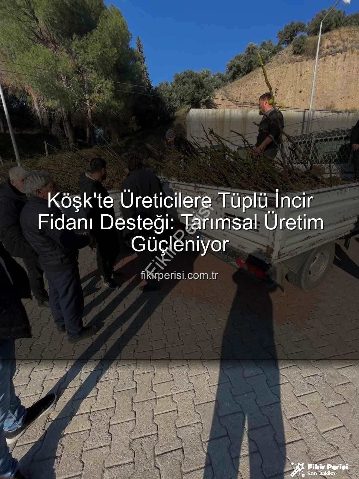 tüplü incir fidanı - Köşk'te Üreticilere Tüplü İncir Fidanı Desteği: Tarımsal Üretim Güçleniyor