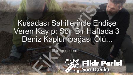 Kuşadası Sahillerinde Endişe Veren Kayıp: Son Bir Haftada 3 Deniz Kaplumbağası Ölü Bulundu