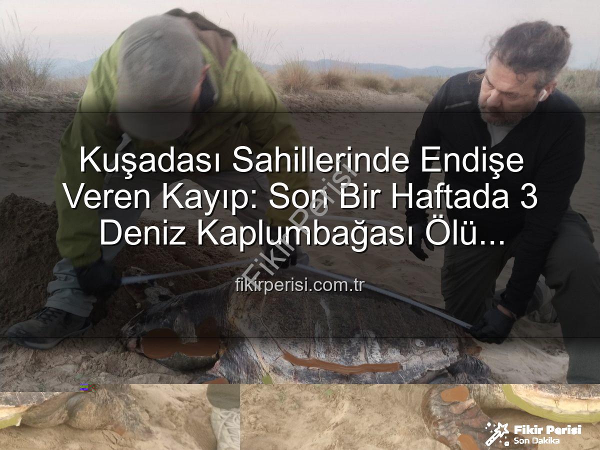 deniz kaplumbağası ölümü - Kuşadası Sahillerinde Endişe Veren Kayıp: Son Bir Haftada 3 Deniz Kaplumbağası Ölü Bulundu