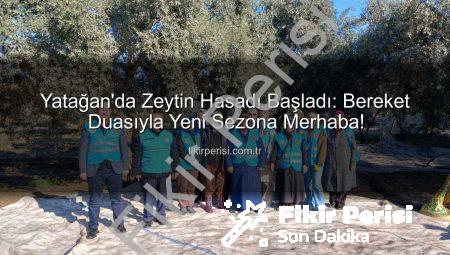Yatağan’da Zeytin Hasadı Başladı: Bereket Duasıyla Yeni Sezona Merhaba!