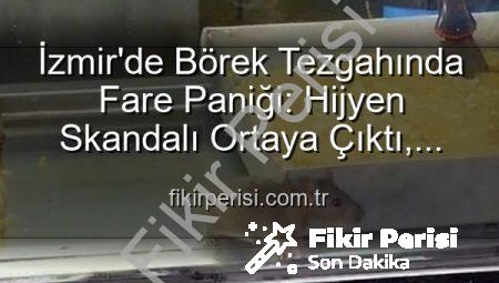 İzmir’de Börek Tezgahında Fare Paniği: Hijyen Skandalı Ortaya Çıktı, İşletme Mühürlendi!