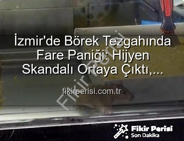 börek tezgahında fare - İzmir'de Börek Tezgahında Fare Paniği: Hijyen Skandalı Ortaya Çıktı, İşletme Mühürlendi!
