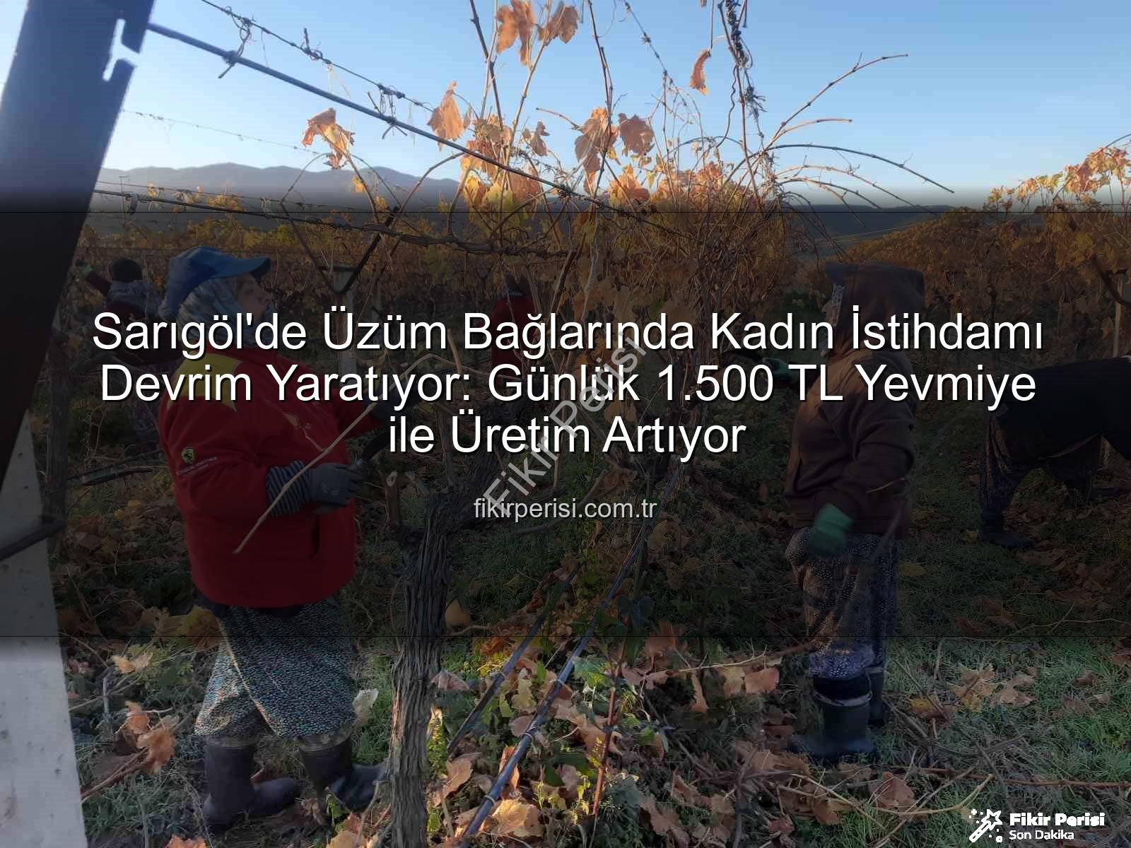 kadın istihdamı - Sarıgöl'de Üzüm Bağlarında Kadın İstihdamı Devrim Yaratıyor: Günlük 1.500 TL Yevmiye ile Üretim Artıyor
