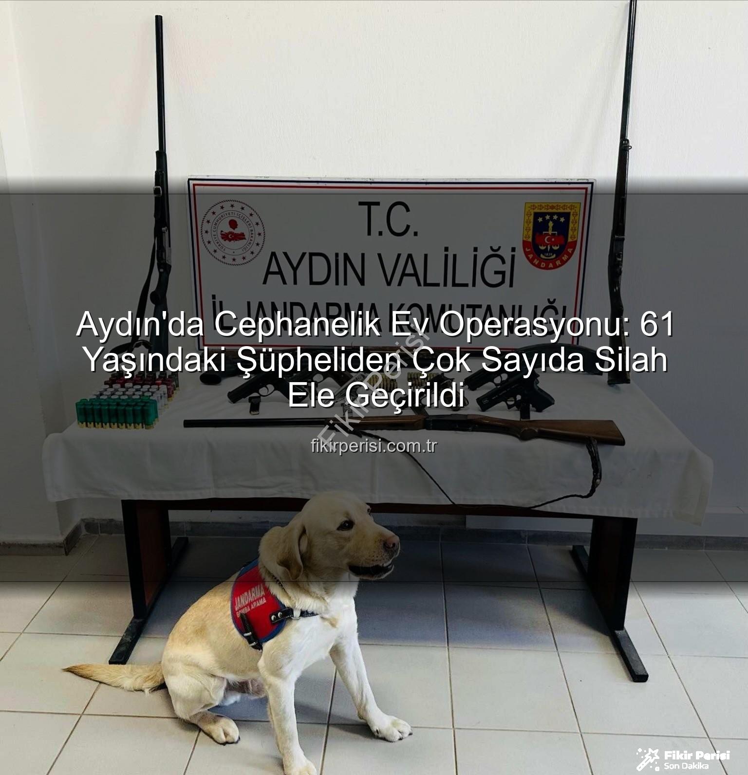 ruhsatsız silah - Aydın'da Cephanelik Ev Operasyonu: 61 Yaşındaki Şüpheliden Çok Sayıda Silah Ele Geçirildi