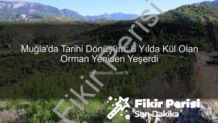Muğla’da Yanan Ormanlar 6 Yılda Yeniden Yeşerdi: 450 Bin Fidan Toprakla Buluştu