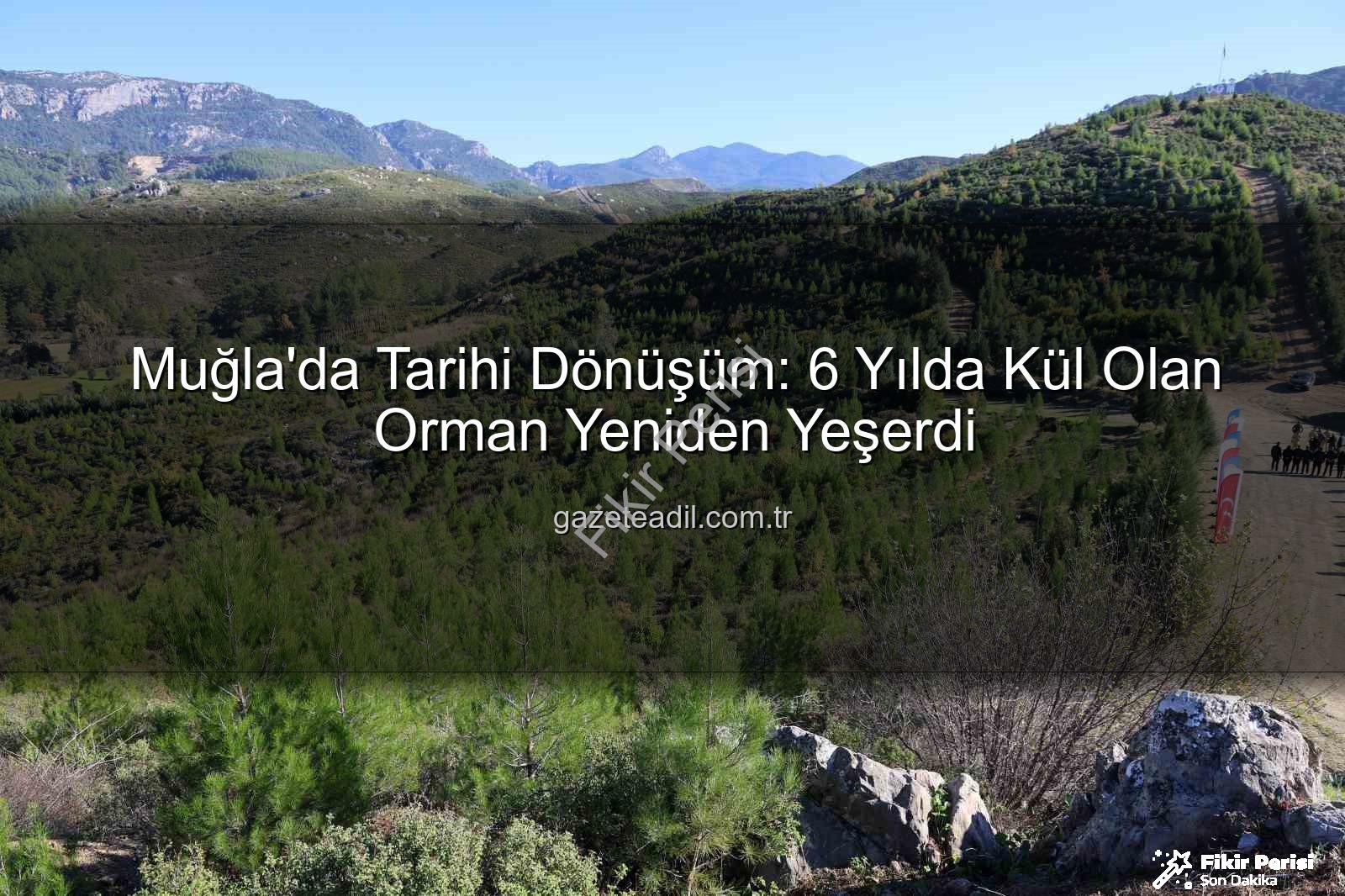 ormanlar yeniden yeşerdi - Muğla'da Yanan Ormanlar 6 Yılda Yeniden Yeşerdi: 450 Bin Fidan Toprakla Buluştu