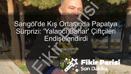 Sarıgöl’de Kış Ortasında Papatya Sürprizi: ‘Yalancı Bahar’ Çiftçileri Endişelendirdi